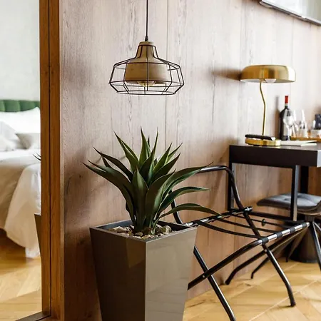 Schuster Boarding House Hotel Brasov